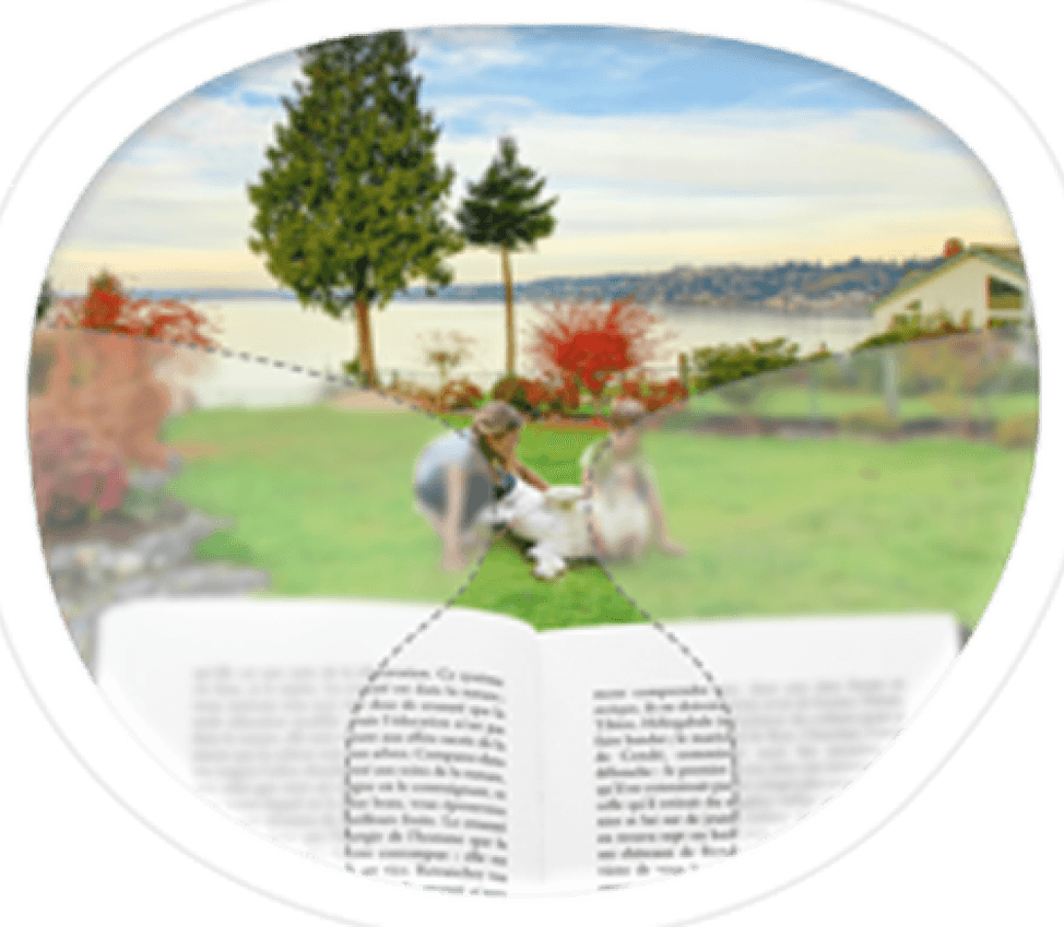 Standard Progressive Standard Progressive